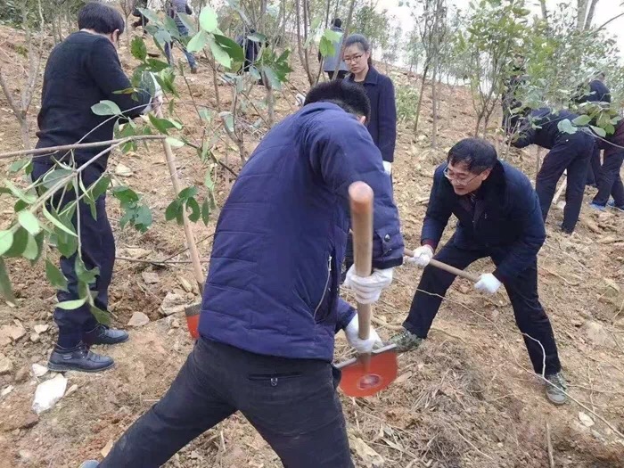 微信图片_20190314095257.jpg