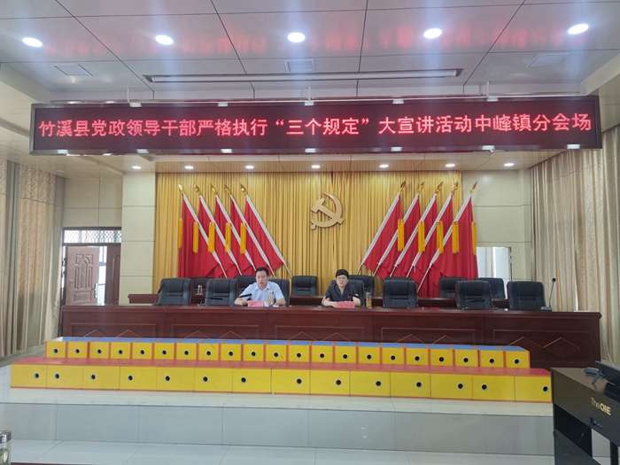 王院长中峰会场_副本.jpg
